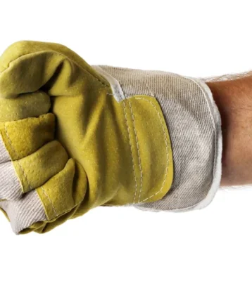 rs=w_776,h_583,cg_true